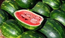 吃瓜照片素材下载免费,揭秘吃瓜照片背后的故事